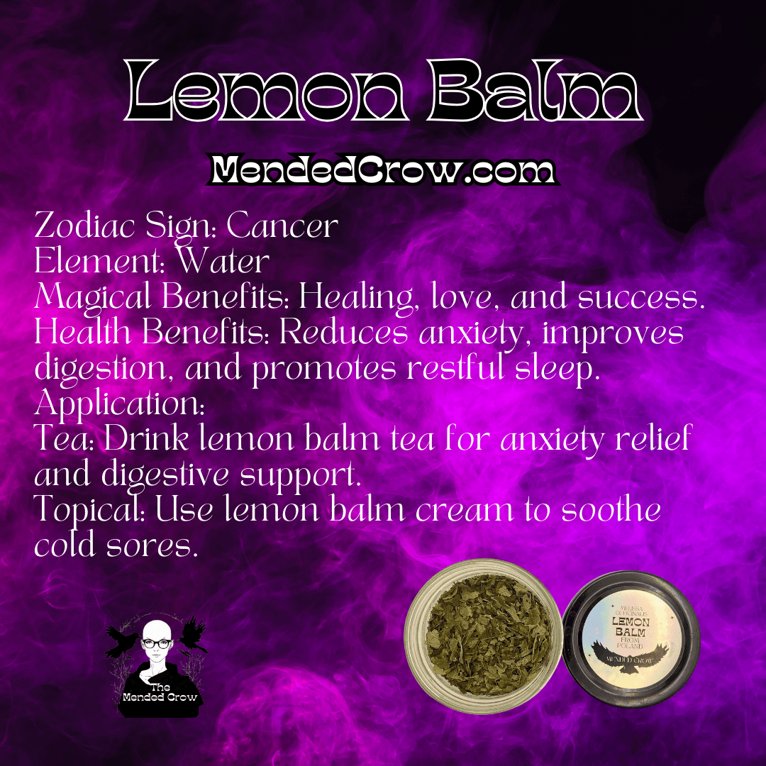 Lemon Balm, 4 oz Jar - Image 2